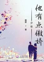 少年他有点傲娇小说