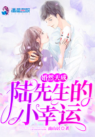 婚然天成陆先生的小幸运